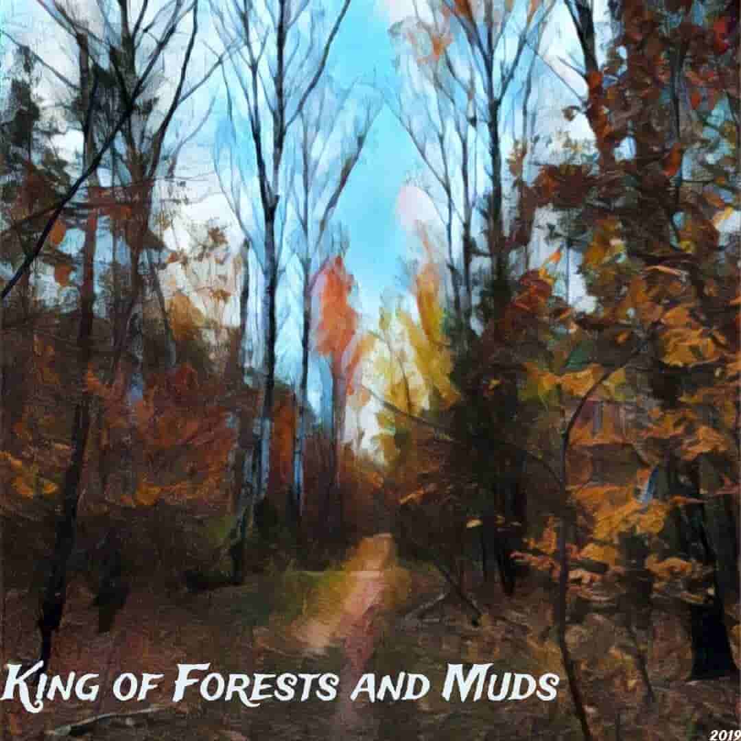 king-of-forests-and-muds-album-background