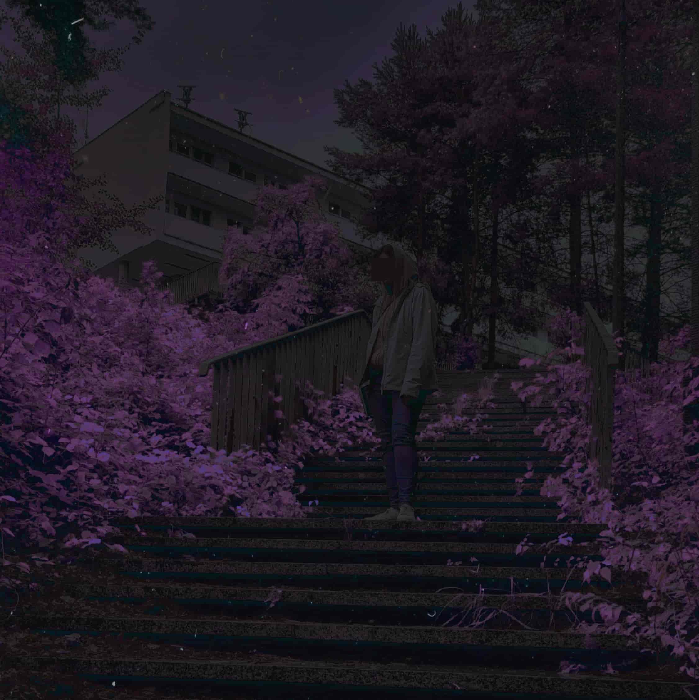 lavender-labyrinth-album-cover