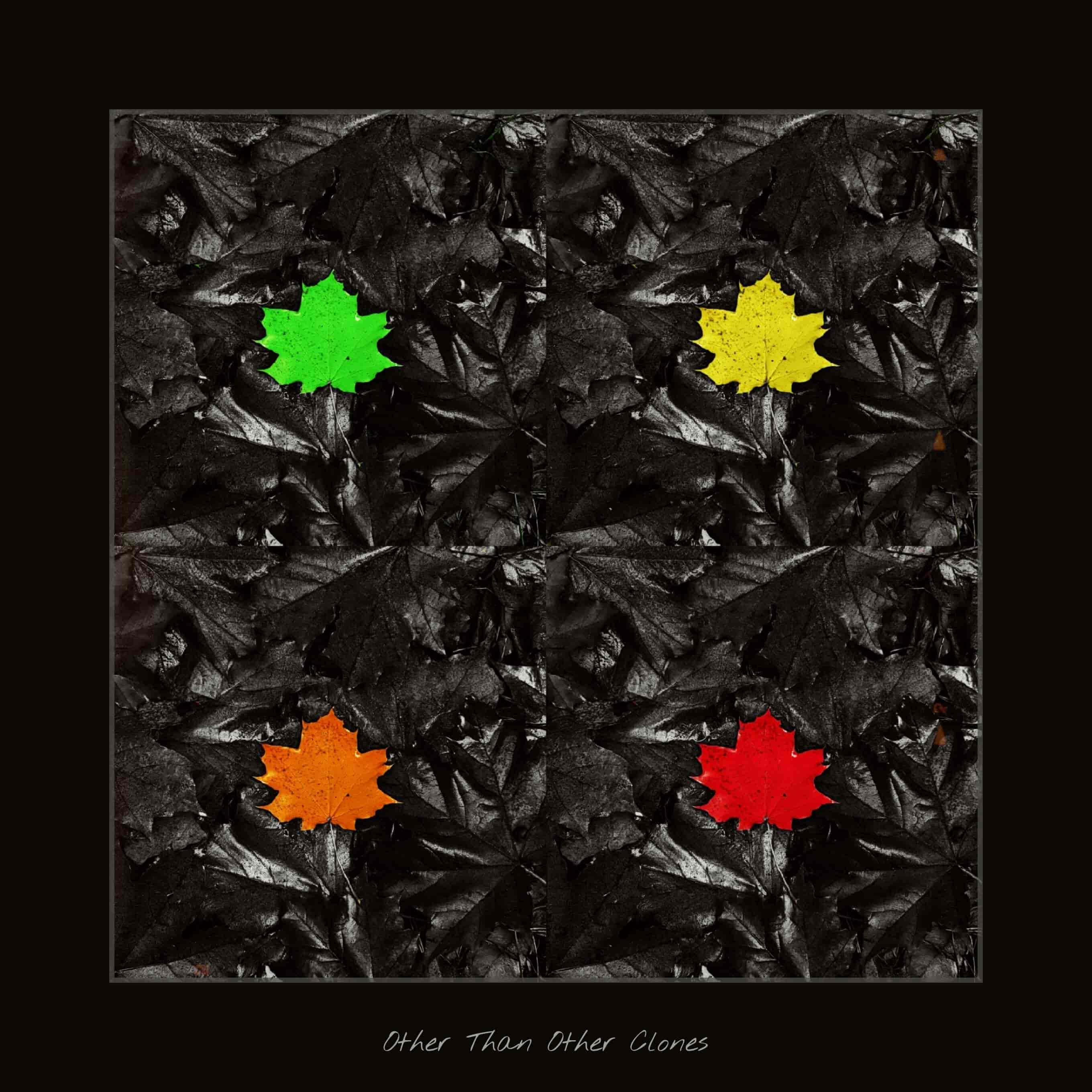 other=than-other-clones-cover