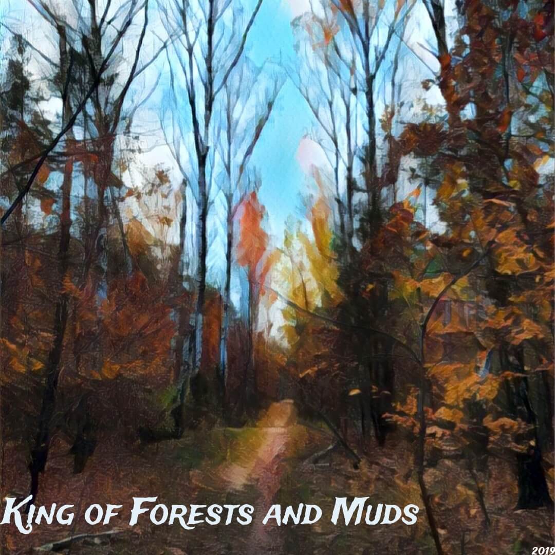 king_of_forests_and_muds-album-cover