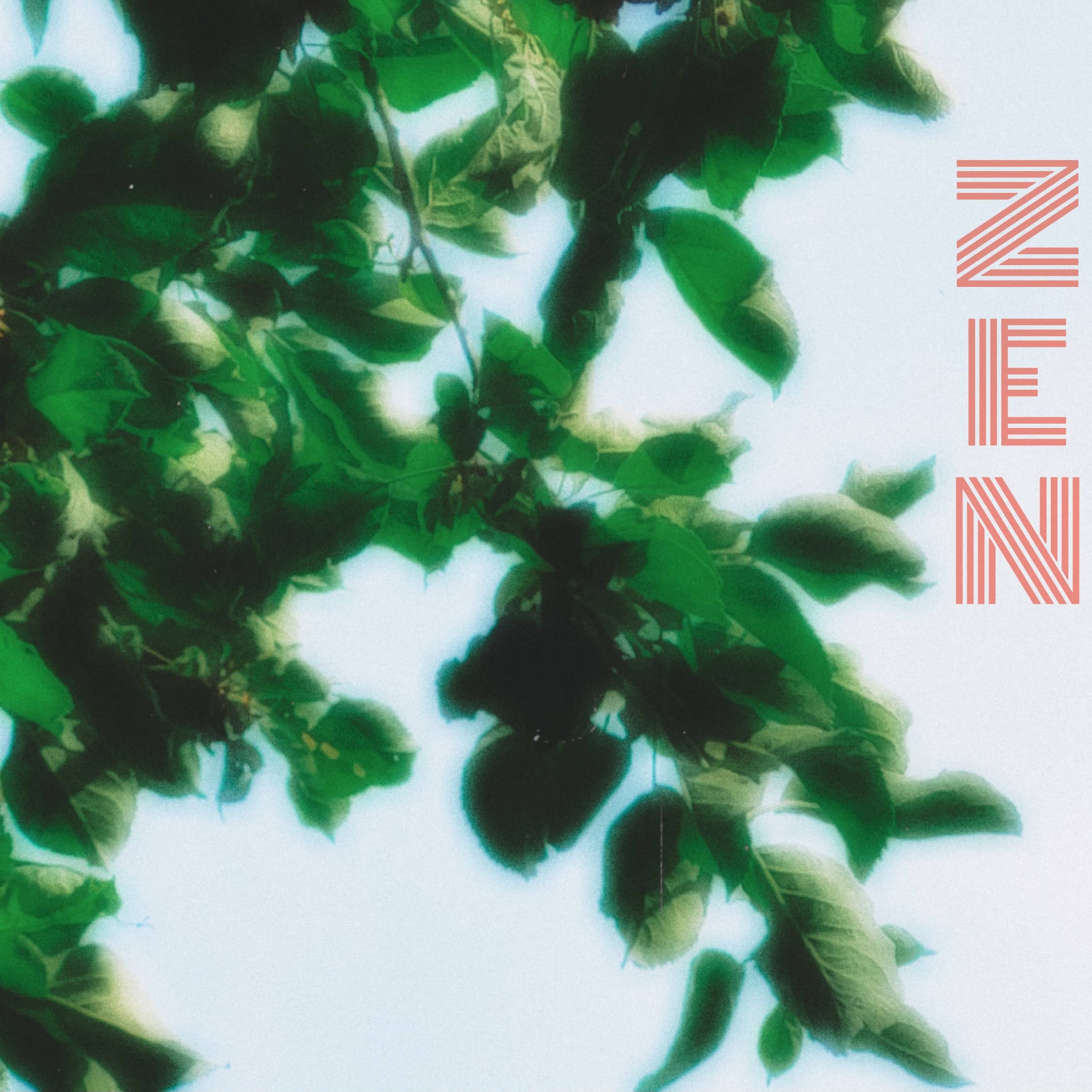 zen-cover